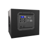 Electro-Voice ELX200-12SP 12 inch Powered Subwoofer